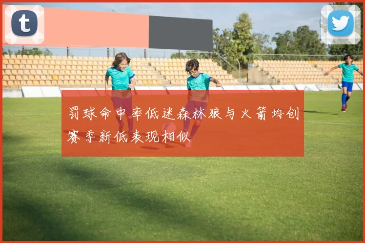罚球命中率低迷森林狼与火箭均创赛季新低表现相似