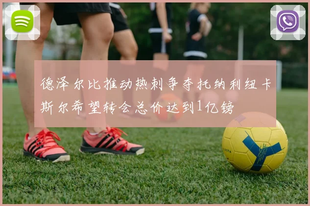 德泽尔比推动热刺争夺托纳利纽卡斯尔希望转会总价达到1亿镑