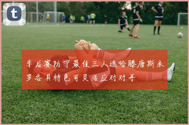 季后赛防守最佳三人选哈滕唐斯米罗各具特色可灵活应对对手
