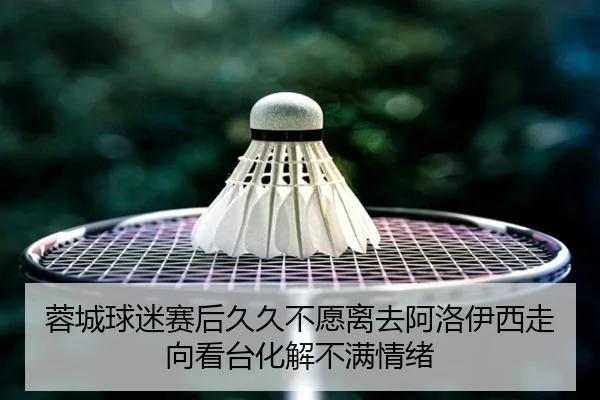 蓉城球迷赛后久久不愿离去阿洛伊西走向看台化解不满情绪 - MKSPORT